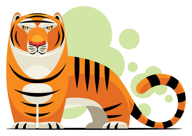 tiger character vector illustration of tiger character animal macho stock illustrations