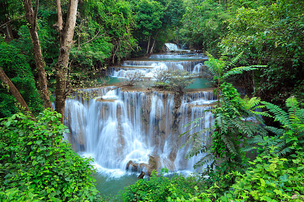 tiefen wald wasserfall in kanchanaburi, thailand - erawan stock-fotos und bilder