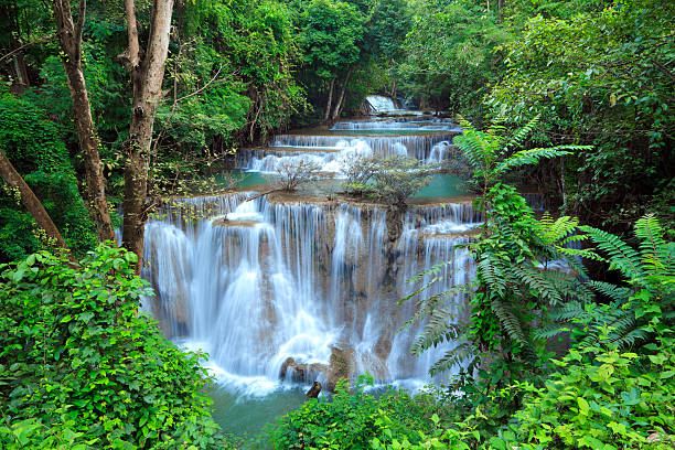 catarata de floresta profunda em kanchanaburi, tailândia - travel travel locations nature erawan imagens e fotografias de stock