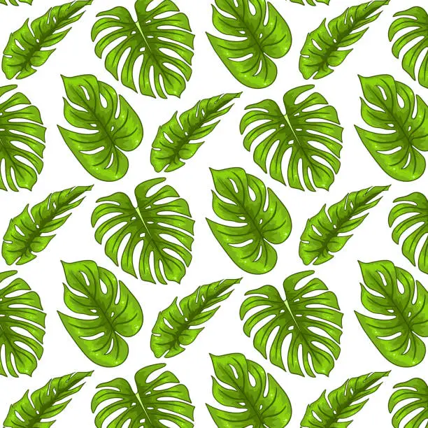 Vector Takaran Free takara printing Vector Images & Graphics | FreeImages