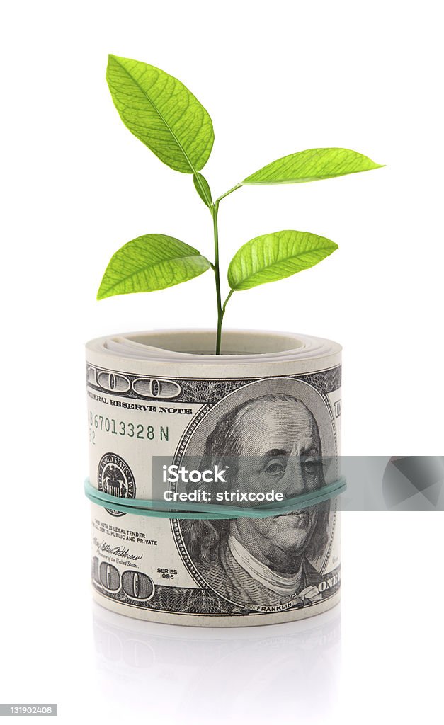 Imagen del concepto de dinero de crecimiento Aislado en blanco - Foto de stock de Ahorros libre de derechos
