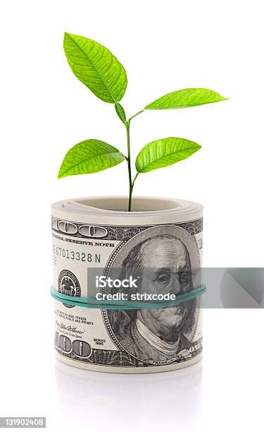 Imagen Del Concepto De Dinero De Crecimiento Aislado En Blanco Foto de stock y más banco de imágenes de Ahorros