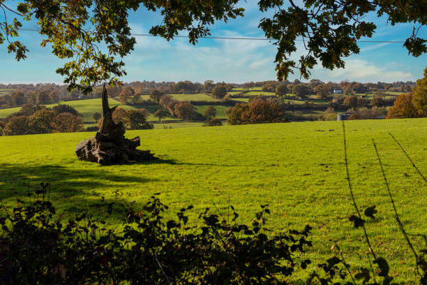 View towards Rolvenden taken from just outside Tenterden in Kent, England. stock photo