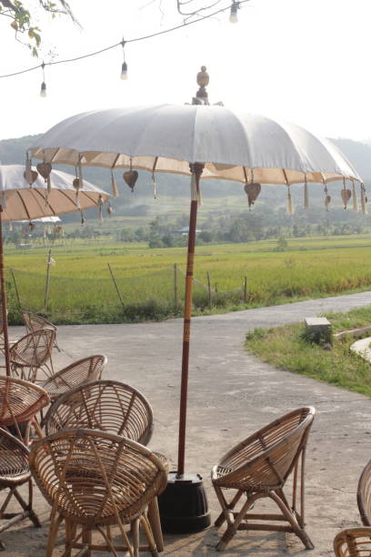 istock balinesse Traditional umbrella 1319024562