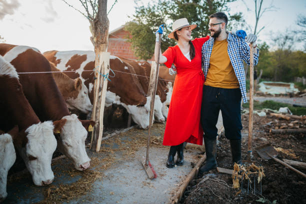 istock Man and woman workers working on diary farm 1319025148