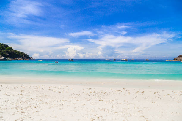 istock Beautiful sandy beach with wave at Similan Islands, 1319026443
