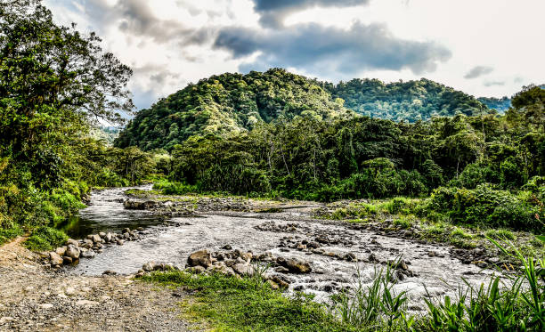 istock rocks and river in mountains, photo as a background 1319027823