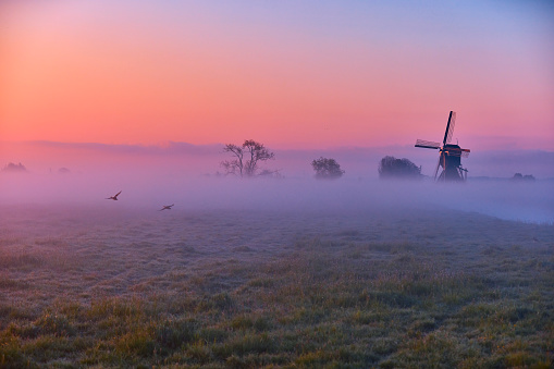 Windmill in mist during sunrise on an early morning. There are some trees that you can vaguely see. The sky is orange, pink and purple colored. Two birds fly through the scene.