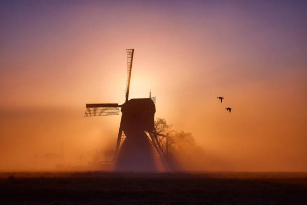 Windmill in the mist in Streefkerk the Netherlands during sunrise on an early morning. The sun is shining brightly from behind the mill. The sky is beautifully colored in yellow, orange and purple. There are two birds flying through the scene.