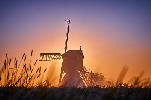 Windmill in the mist  in Streefkerk the Netherlands during sunrise on an early morning. The sun is shining from behind the mill. The sky is beautifully colored in yellow, orange and blue. In the foreground is grass.