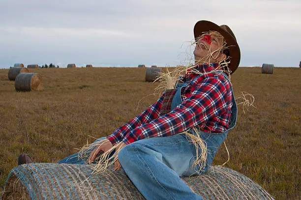 Playful scarecrow riding a haybale, laughing.