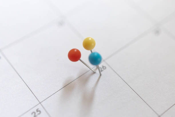 istock Important date and calendar appointment.Pins on calendar 1319031188