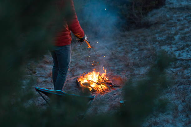 man preparing bonfire on the pine forest glade - pine sunset night sunlight imagens e fotografias de stock