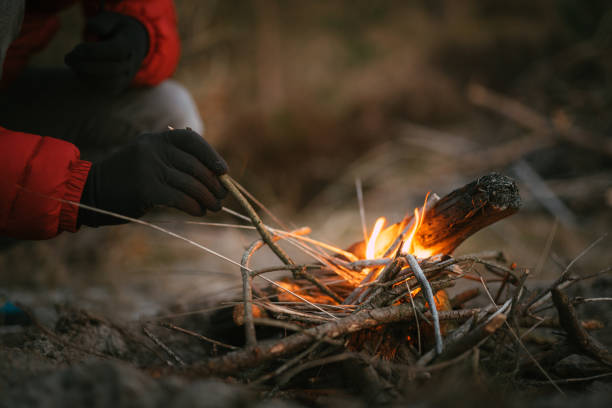 istock Man preparing bonfire on the pine forest glade. Close up on hands 1319032052