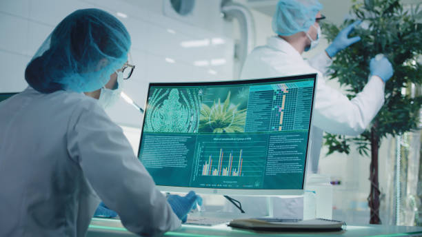 istock Female scientist checking medical marijuana. Testing plant samples. Charts and models on computer screens. Team in background 1319032414