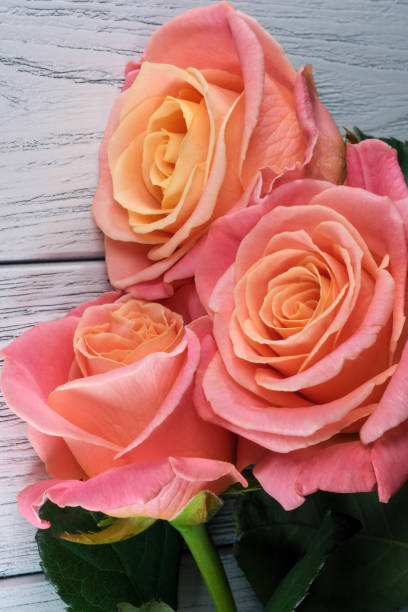 istock Floral holiday card with beautiful roses 1319032795