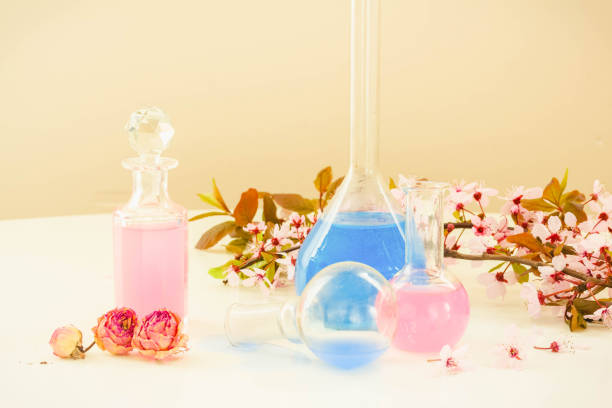 istock aromatherapy - dry flowers and potions 1319033163