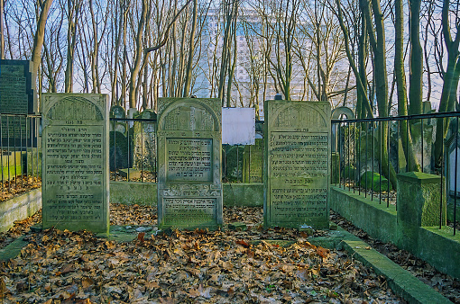 Warsaw, Poland - December 29, 2008: View of old tombstones with Hebrew scripts in the old Jewish Cemetery of Warsaw, Poland