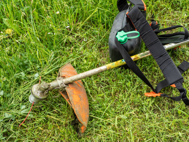 istock Brushcutter lies on a meadow for mowing 1319034357