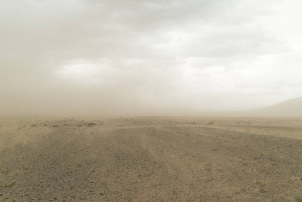 istock sandstorm in the gobi desert in mongolia 1319035891