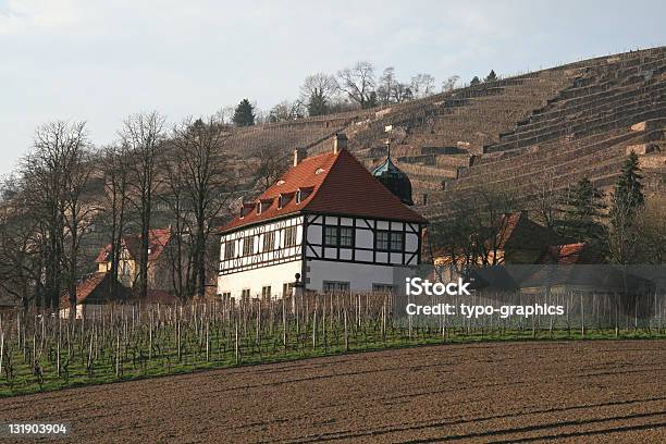 Hofloessnitz Castello In Radebeul - Fotografie stock e altre immagini di Ambientazione esterna - Ambientazione esterna, Architettura, Azienda vinicola