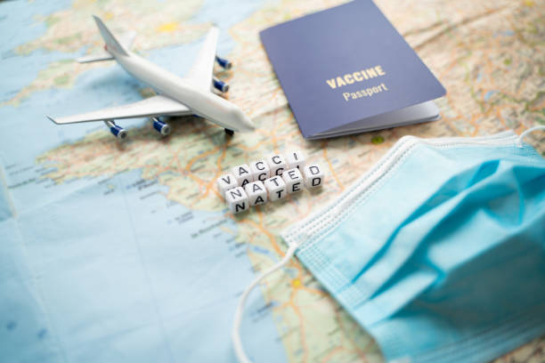 istock planning Vaccinated traveler booking flights and trip. 1319043293