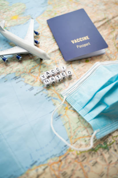 istock Vaccinated traveler planning booking flights and trip. 1319043370