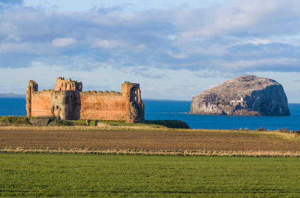 tantallon castle and bass rock north berwick - bass imagens e fotografias de stock