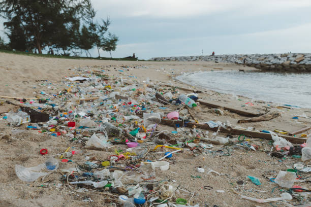 istock Garbage on the beach. Dirty sea sandy. Trash on beach. plastic bottle. Love the world. Pollution of beaches and sea 1319045431