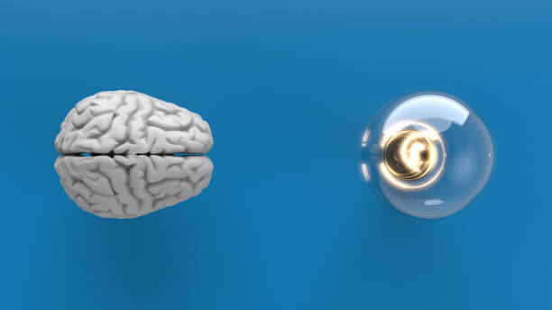電球を持つ脳。 - jellyfish underwater water light ストックフォトと画像