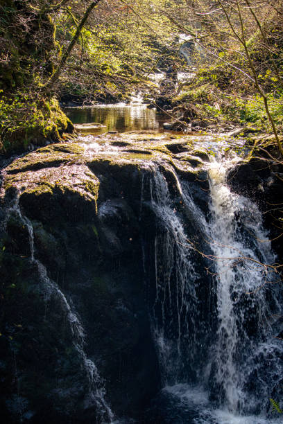 Glenariff Forest Park Waterfall at Glenariff Forest Park. Northern Ireland. glenariff photos stock pictures, royalty-free photos & images