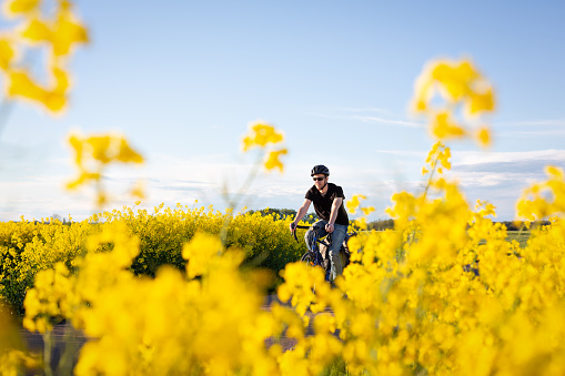A man on a bicycle riding on a track in between canola fields on a sunny spring day. Yellow canola blossoms in the foreground.