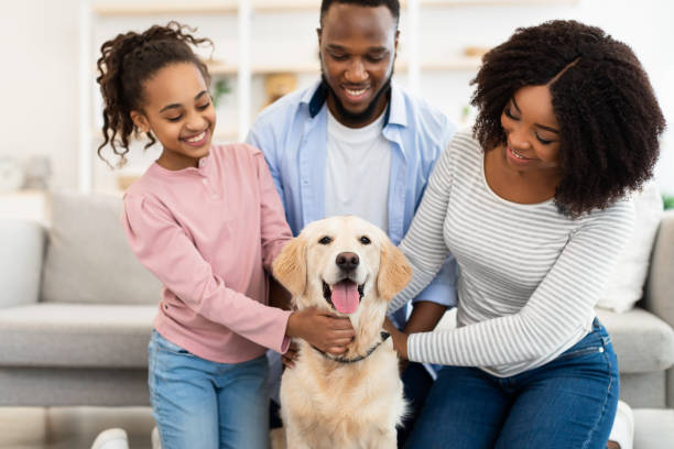 istock Young black couple hugging with dog posing at home 1319051630