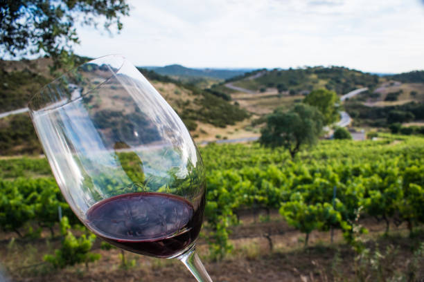 istock a glass of red wine 1319055289