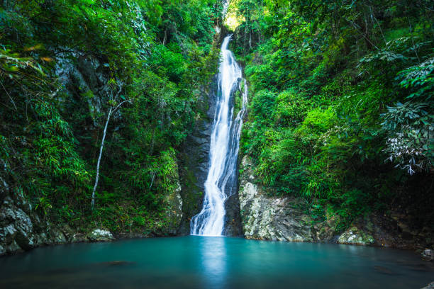 istock Waterfall in the tropical rainforest landscape 1319055472