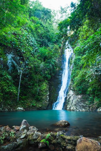 istock Waterfall in the tropical rainforest landscape 1319055962