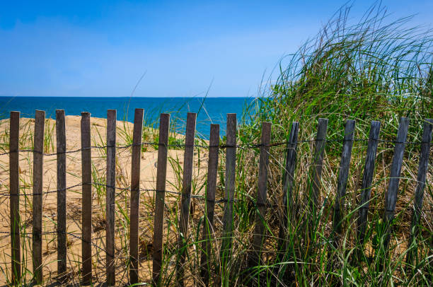 istock Beach Grass,Fence,  Sand and Sea 1319056398