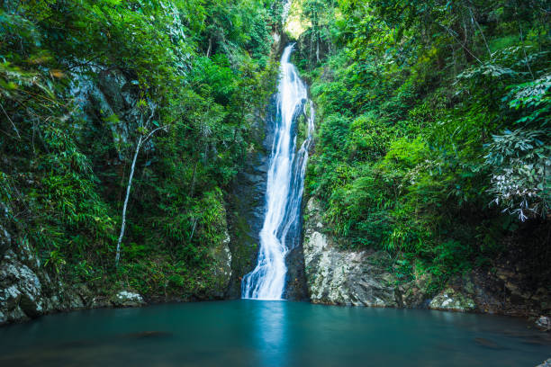 istock Waterfall in the tropical rainforest landscape 1319058749