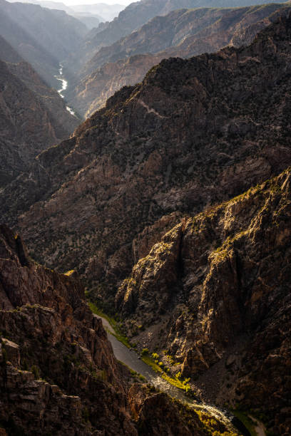 istock Green Plants Glow Bright In The Dark Canyon 1319060411