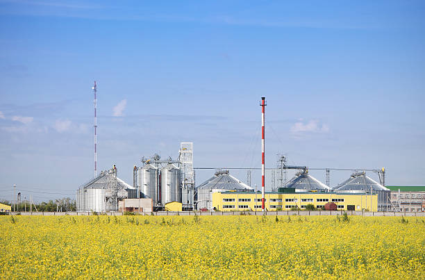 istock Rapeseed oil factory producing biodiesel 131906311
