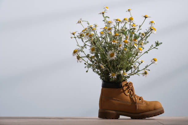 istock Bouquet of white chamomile daisy flowers in a brown boot, on light blue background. Between bright and dark illumination. 1319065518