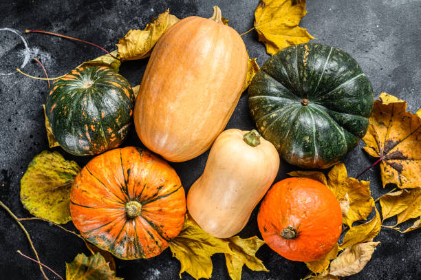 istock Diverse assortment of pumpkins on a table. Black background. Top view 1319068682