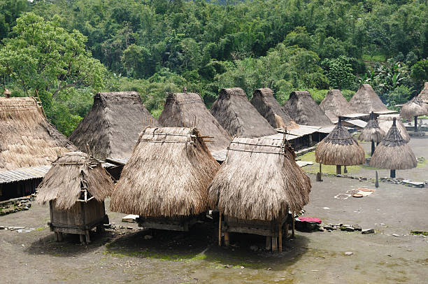istock Indonesia, Flores, Tradicional ethnic Bena village 131907057