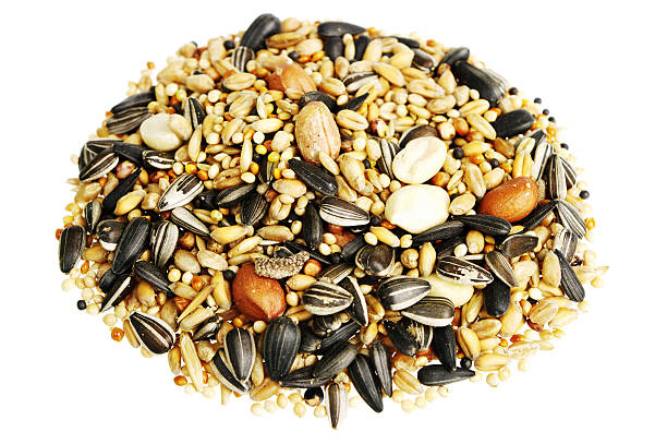istock Heap Of Birdseed Isolated On White 131907084