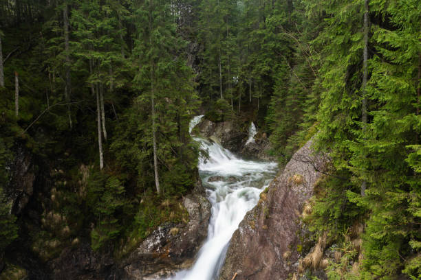 istock incredibly beautiful powerful waterfall in the mountains, incredible wildlife 1319072130