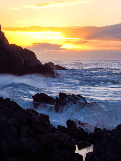 istock Morning along the Tsitsikamma Coast 1319072240
