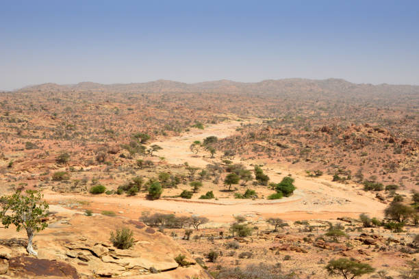 ワディ - ラース・ゲール半砂漠の風景、ソマリランド、ソマリア - somaliland ストックフォトと画像