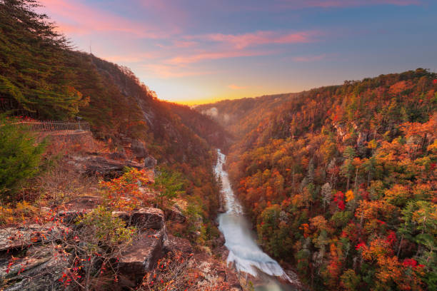 istock Tallulah Falls, Georgia, USA overlooking Tallulah Gorge 1319073341