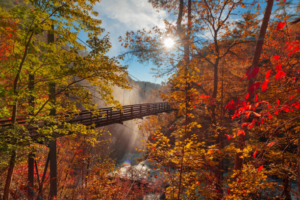 водопад таллула, джорджия, сша с видом на ущелье таллула - cross autumn sky beauty in nature стоковые фото и изображения