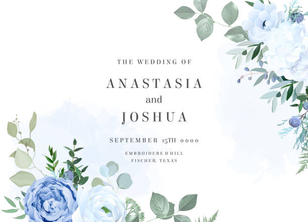 Dusty blue rose, white hydrangea, ranunculus, anemone, eucalyptus vector design frame Dusty blue rose, white hydrangea, ranunculus, anemone, eucalyptus, greenery, juniper, brunia vector design frame. Wedding seasonal flower card. Floral watercolor composition. Isolated and editable blue roses stock illustrations